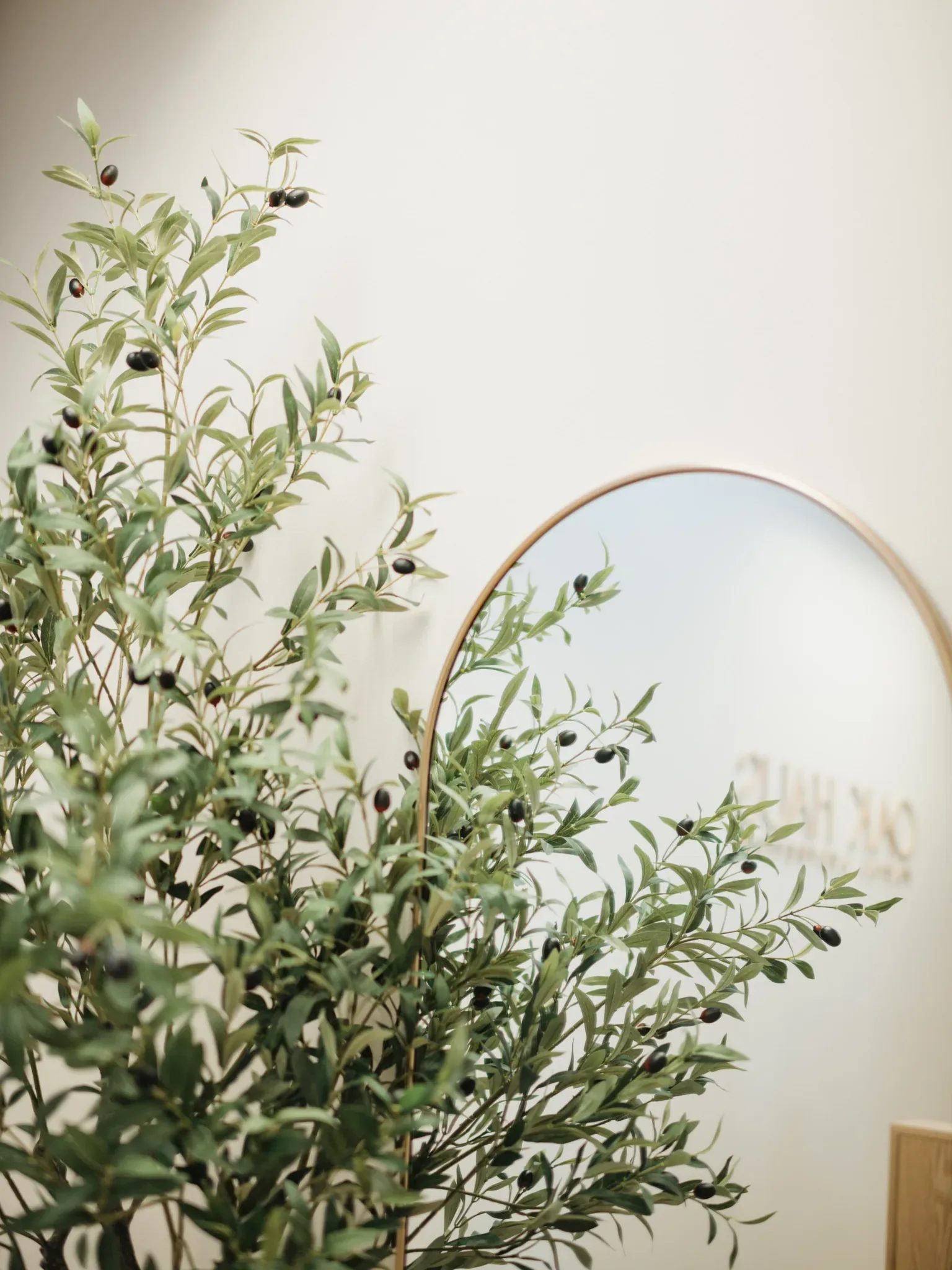 Oak Haus Facial Aesthetics - boutique medspa interior